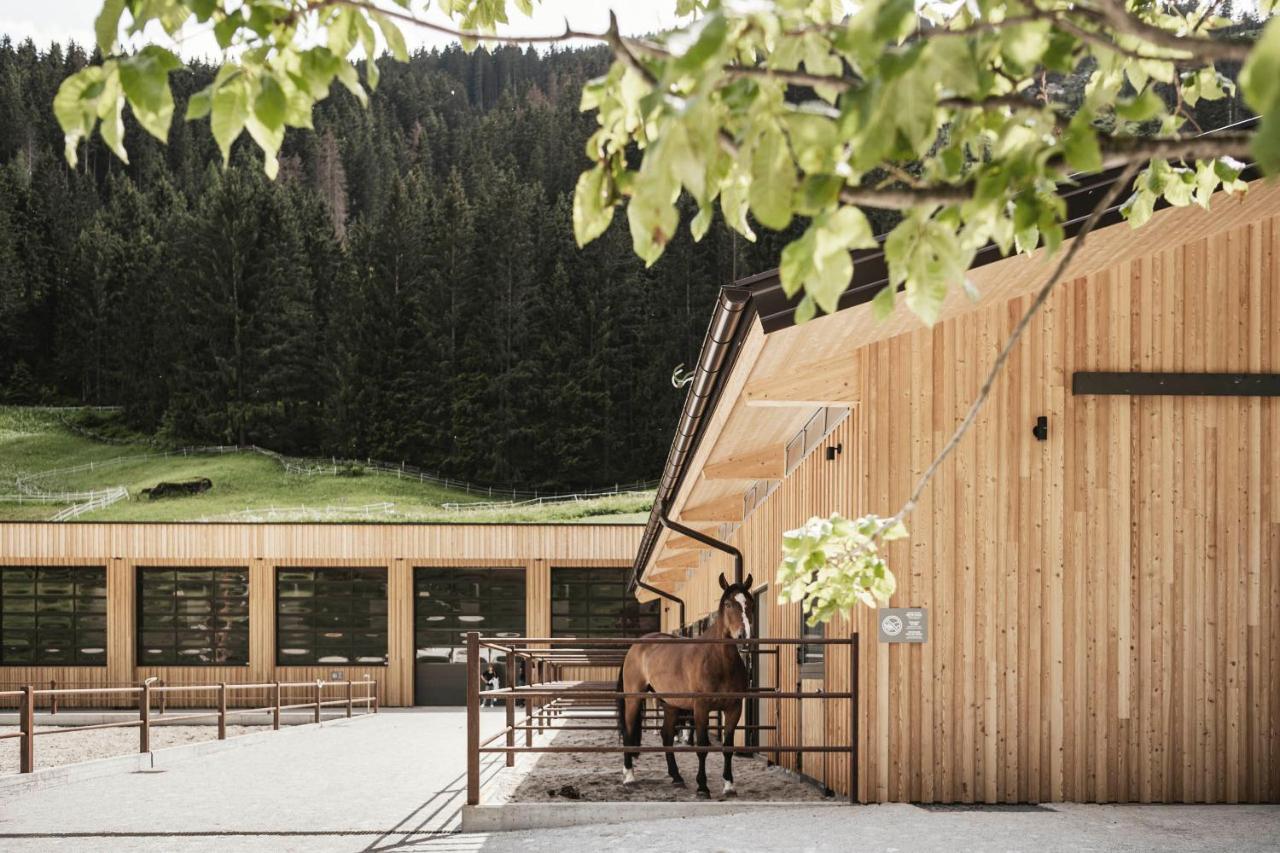 Feuerstein Nature Family Resort كولّي إيساركو المظهر الخارجي الصورة